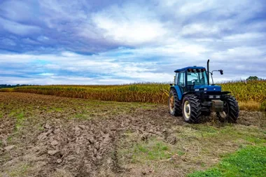 Ciągnik sadowniczy - jakie cechy są ważne w pracy między rzędami?