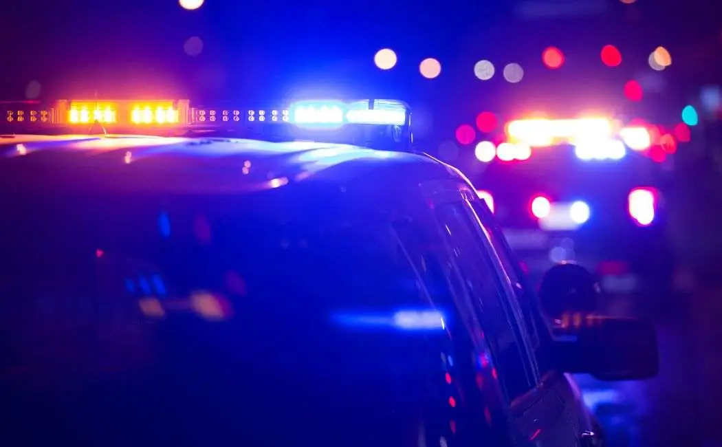 Wspólna akcja Policji i Straży Leśnej przeciwko kłusownikom w Polsce