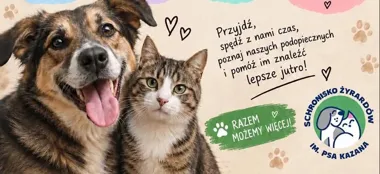 Grafika promocyjna wydarzenia Dzień Otwarty w Schronisku im. Psa Kazana w Żyrardowie