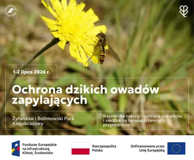 Grafika promocyjna wydarzenia Warsztat „Razem dla natury” o dzikich owadach zapylających w Żyrardowie