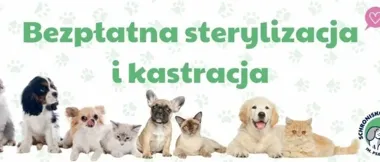 Bezpłatne sterylizacje i kastracje psów oraz kotów – zgłoszenia do 3 kwietnia