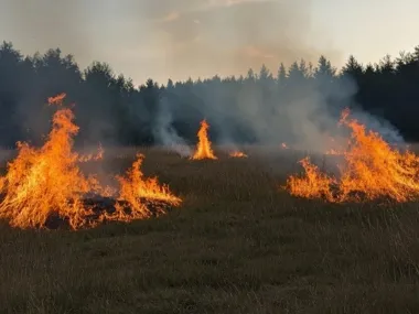 Kilka sekund wystarczy - wypalanie traw grozi pożarem i karą 30 000 zł