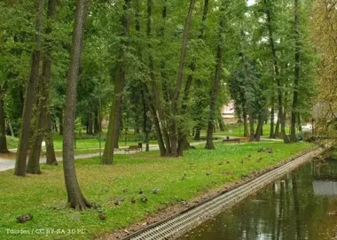 Rozlicz PIT i zdecyduj, gdzie zostaną twoje pieniądze – prosty sposób na wsparcie Żyrardowa